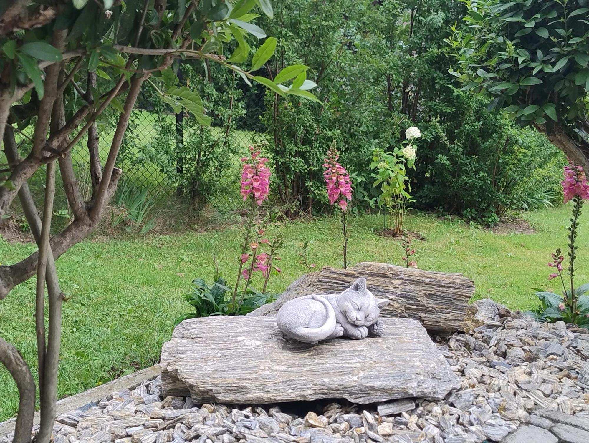 Villa Sloneczne Wzgorze Ustroń Zewnętrze zdjęcie